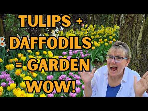 Видео: Как создать образ: простые советы по дизайну весенних лампочек