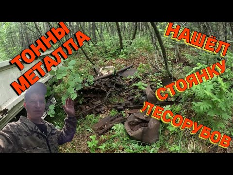 Видео: УРААааа!!! Нашёл стоянку лесорубов! Тонны металла. Металокоп. XP ORX