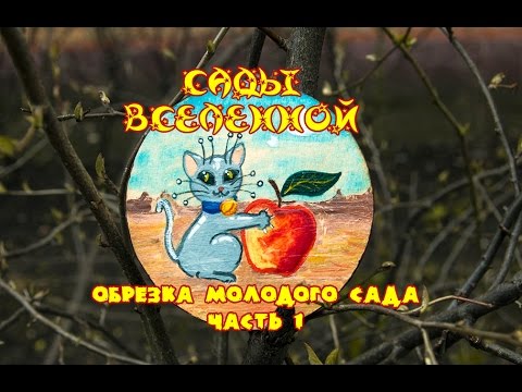 Видео: Александр Петров. Обрезка молодого сада, часть 1