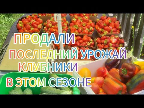 Видео: Подписчики из Ярославля ехали к нам 8 дней, с 5 детками. Мечты сбываются! Это того стоило!?