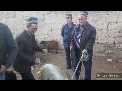 Видео: #ЛАЙК_БОСИНГ_ОБУНА_БӮЛИНГ        Шӯрнаво молбозори 23.03.2021
