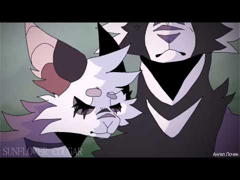 Видео: Искра и Коршун: "Взгляни на меня..."