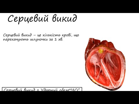 Видео: Фізіологія. Серцевий викид. Фракція викиду. Ударний об‘єм та механізм Франка-Старлінга.