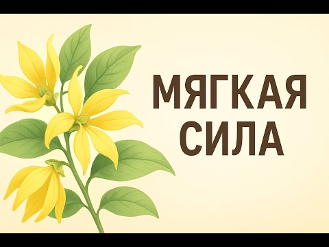 Видео: Кананга — масло мягкой силы: от стресса до сияющей кожи