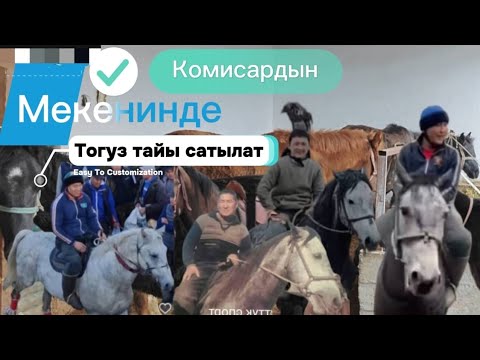 Видео: Комисардын МЕКЕНИНЕН тогуз Комисар 8 ноября 2024 г.