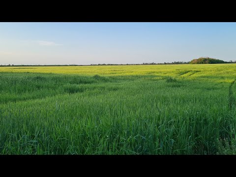 Видео: Екатеринбург-Кучугуры. Дорога на юг. Долгожданный отпуск