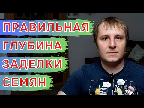 Видео: Глубина Заделки семян Зерновых культур. Глубина посева Пшеницы, Ячменя, Овса, Ржи.