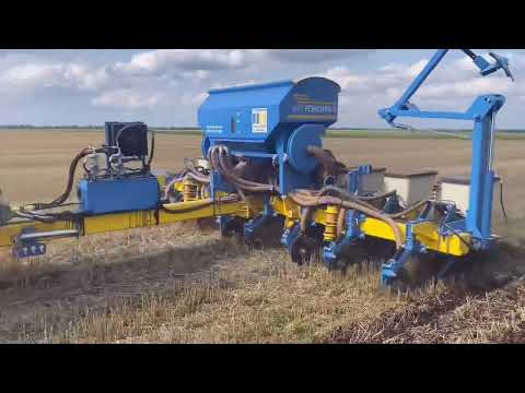 Видео: Серпень і Ріпак Архітект від Лімагрейн 