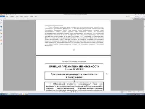 Видео: Принципы уголовного судопроизводства