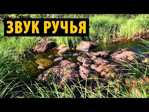 Видео: Журчание ручья - слушать звук лесного ручья для сна, релакса и медитации