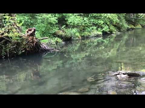 Видео: За риба в красивия “Карст “ 21/05/25