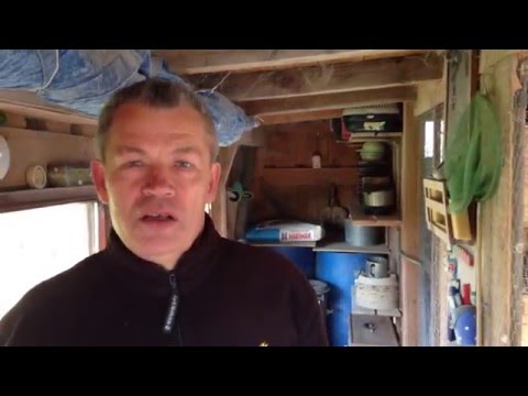 Видео: Как кормить и поить голубей