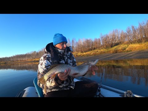 Видео: КРУПНЯК ПОПЁР! ЩУЧЬИ РАЗДАЧИ на р. Лозьва! (1 часть). 