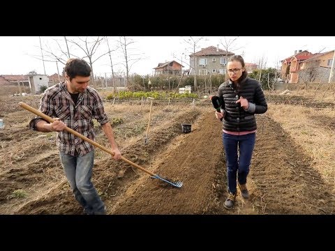 Видео: Мисия Чиста Храна - Торене на зеленчуци преди сеитба (ЕПИЗОД 3)