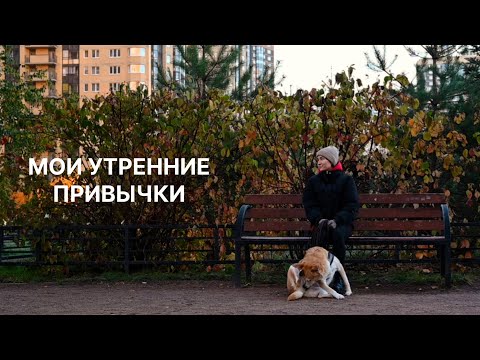 Видео: Мои утренние привычки или 7 шагов к прекрасному самочувствию на весь день