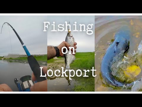 Видео: Great fishing on Lockport! Отличная рыбалка на Локпорту!