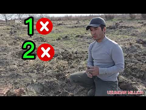 Видео: 2025-йил ПАЙВАНД йили 2026-йил ДАРОМАД йили