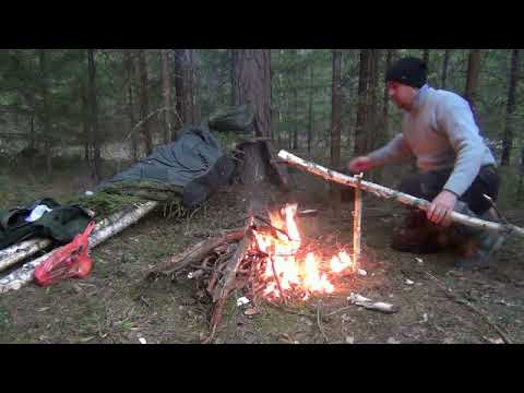 Видео: охота на глухаря весна 2023 г