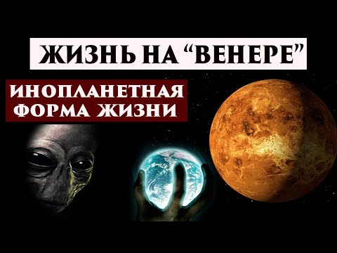 Видео: Жизнь на Венере реальна, что от нас скрывают? Регрессивный гипноз. Ченнелинг 2023.