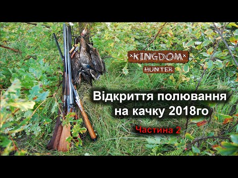 Видео: Відкриття полювання на качку 2018го.  Частина 2