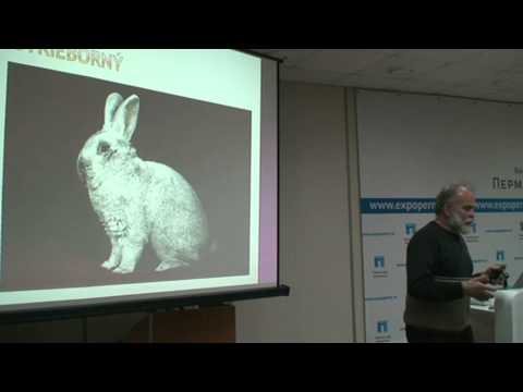 Видео: Семинар по кролиководству. Окрасы кроликов