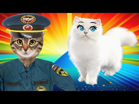 Видео: КОТ Чика Стал Личным ОХРАННИКОМ кошечки ВАСИЛИСЫ!!!