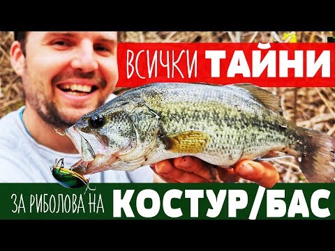 Видео: ВСИЧКИ ТАЙНИ за риболова на Американски костур! КАК и на КАКВО Largemouth BASS