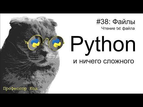 Видео: Файлы. Чтение txt файла  | Python для начинающих | Профессор код