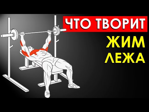 Видео: Что Будет С Вашим Телом, Если Делать Жим Лежа