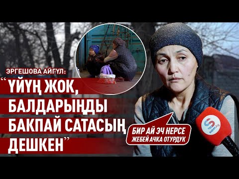 Видео: «Кызым окуучулардын жана мугалимдердин басмырлоосунан мектепке бара албайт» дейт Айгүл