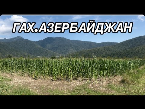 Видео: БАКУ-ГАХ.ВОЗВРАЩАЕМСЯ ДОМОЙ.QAX#azerbaycan#travelvlog#baku#qax#