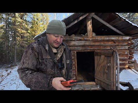 Видео: Охота пошла. Дымкин соболь. Проверка пеших путиков.