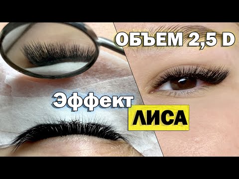 Видео: ОБЪЕМНОЕ НАРАЩИВАНИЕ РЕСНИЦ 2,5D в лисьем эффекте (Изгиб L). Все этапы построения схемы