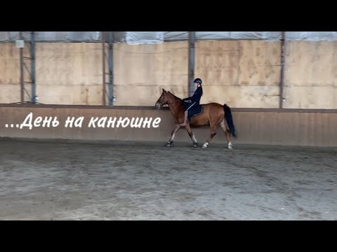 Видео: День на КОНЮШНЕ🏇|ЕЗДА БЕЗ СЕДЛА|