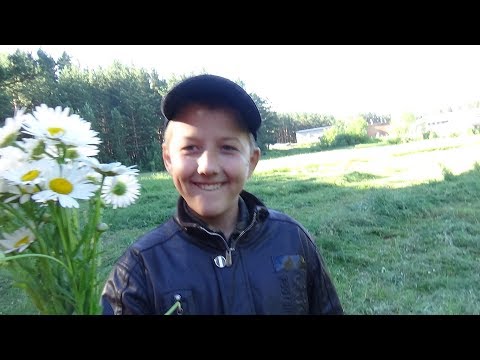 Видео: Покос 2018 ч № 1, косим триммером 1,2 Га.