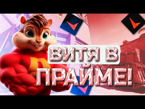 Видео: ВИТЯ ТЮРИН В НЕВЕРОЯТНОМ ПРАЙМЕ! | ФОРМИКС ТАЩИТ КАТКУ НА 3К ЕЛО В СОЛО! | formixyouknow (CS2)