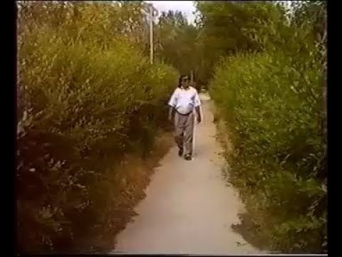 Видео: "Шалқымалы". сөзі мен әні Талғат Атшыбаевтікі. Орындаған автор.