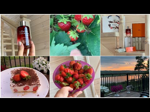 Видео: НЕВЕРОЯТНО ВКУСНЫЙ ТВОРОЖНО-КЛУБНИЧНЫЙ ДЕСЕРТ/ПОСЫЛКА С НОВЫМИ АРОМАТАМИ/ГДЕ ПОКУПАЮ ДУХИ/НАШ ЗАКАТ