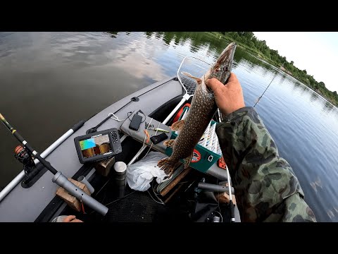 Видео: РЫБАЛКА. Открытие сезона троллинга 2025 на Оке!