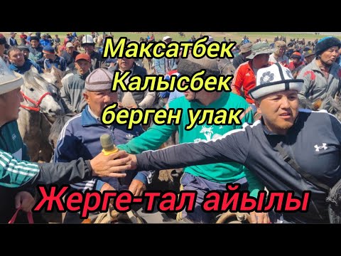 Видео: Максатбек менен Калысбек берген улак