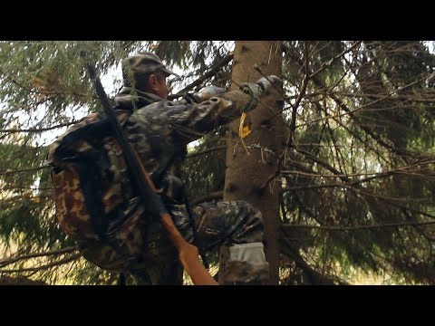 Видео: Лабаз-одиночка или "Браконьерская" засидка