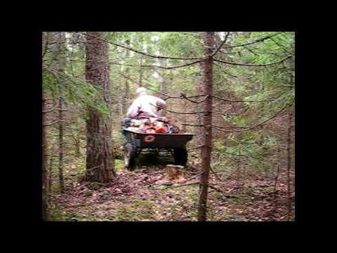 Видео: За дровами на мотоблоке