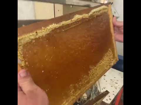 Видео: 10 февраля 2022 г.