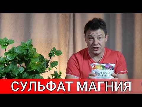 Видео: сульфат магния чудесное удобрение все о дозах способах внесения и дозировках которые применяю