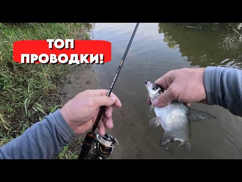 Видео: Мормышинг: ТОП проводки, на которые клюёт любая рыба! 🎣