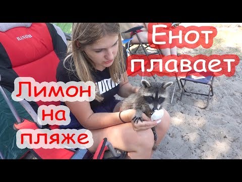 Видео: VLOG Отдых у реки. Солнечные ожоги.