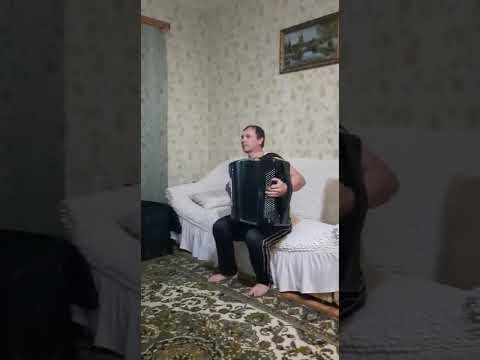 Видео: Gypsy polka Цыганская поличка обр  Виктора Евдокимова