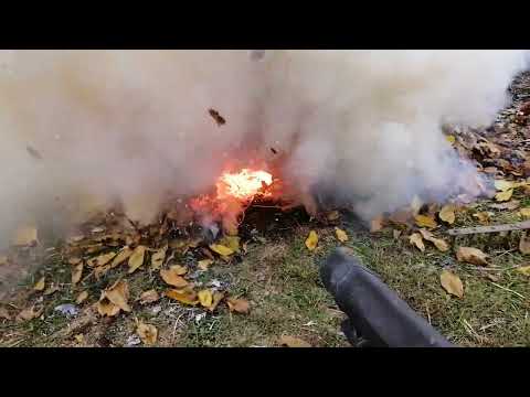 Видео: Садовый пылесос или воздуходувка. Осень, сжигаем сырые листья.