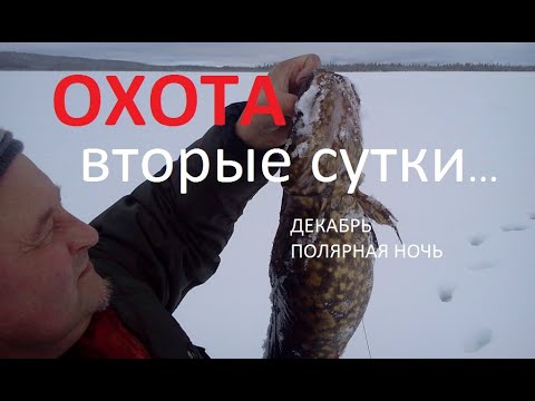 Видео: Нерестовый НАЛИМ со льда | Рыбалка на налима