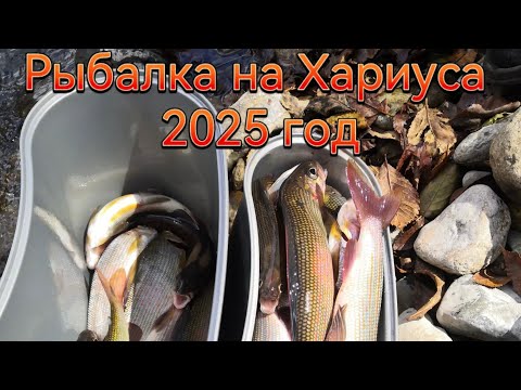 Видео: Рыбалка на Хариуса в Приморском крае 2025 год.